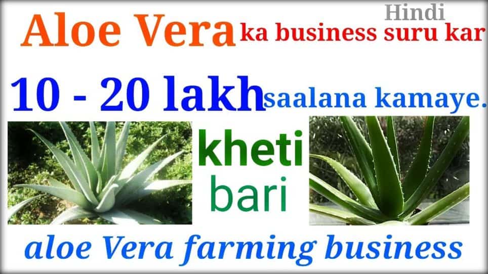 cattle feed business plan in hindi
