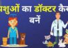 BVSC Course in Hindi