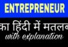 Entrepreneur Meaning in Hindi