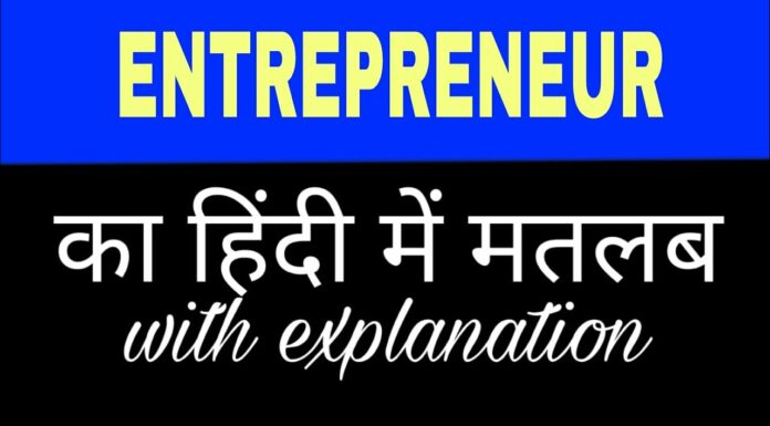 Entrepreneur Meaning in Hindi