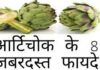 Benefits of Artichoke in Hindi