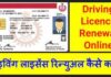 Driving Licence Renew 2024