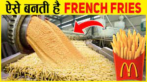 French Fries Business plan in Hindi